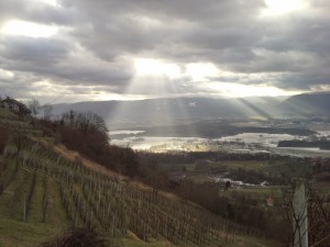 Ekološko vino postaja v teh dneh precej priljubljena izbira, še posebej, če vam je mar, kaj gre v vaš kozarec in vaše telo.